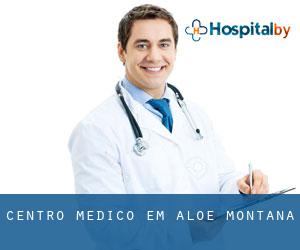 Centro médico em Aloe (Montana)