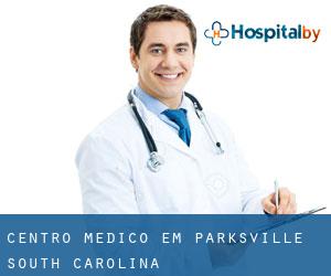 Centro médico em Parksville (South Carolina)