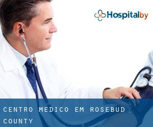 Centro médico em Rosebud County