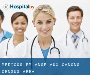 Médicos em Anse-aux-Canons (census area)