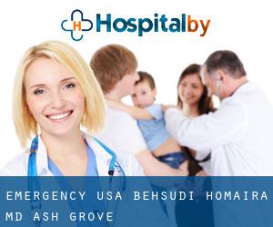 Emergency USA: Behsudi Homaira MD (Ash Grove)