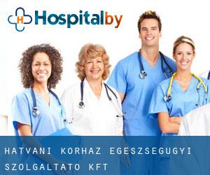 Hatvani Kórház Egészségügyi Szolgáltató Kft.