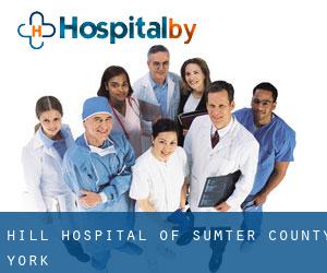 Hill Hospital of Sumter County (York)