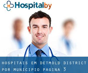 hospitais em Detmold District por município - página 3