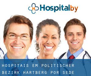 hospitais em Politischer Bezirk Hartberg por sede cidade - página 1