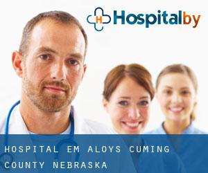 hospital em Aloys (Cuming County, Nebraska)
