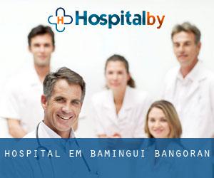 hospital em Bamingui-Bangoran