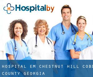 hospital em Chestnut Hill (Cobb County, Georgia)