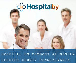 hospital em Commons at Goshen (Chester County, Pennsylvania)