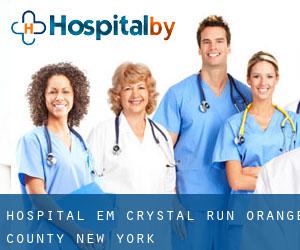hospital em Crystal Run (Orange County, New York)