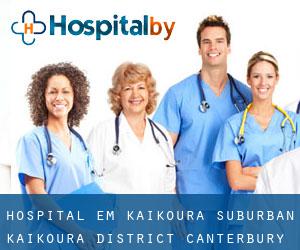 hospital em Kaikoura Suburban (Kaikoura District, Canterbury)