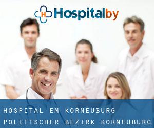 hospital em Korneuburg (Politischer Bezirk Korneuburg, Lower Austria)