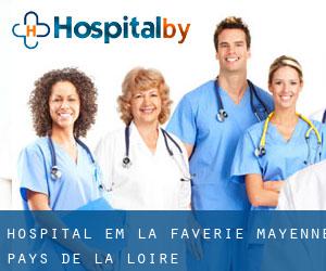 hospital em La Faverie (Mayenne, Pays de la Loire)