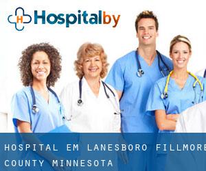 hospital em Lanesboro (Fillmore County, Minnesota)