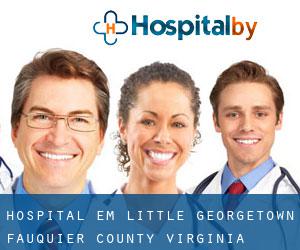 hospital em Little Georgetown (Fauquier County, Virginia)