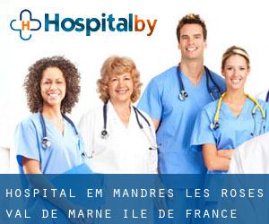 hospital em Mandres-les-Roses (Val-de-Marne, Île-de-France)
