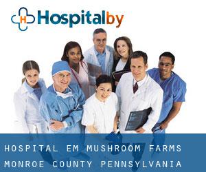 hospital em Mushroom Farms (Monroe County, Pennsylvania)