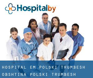 hospital em Polski Trŭmbesh (Obshtina Polski Trŭmbesh, Veliko Tŭrnovo)