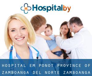 hospital em Ponot (Province of Zamboanga del Norte, Zamboanga Peninsula)