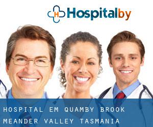 hospital em Quamby Brook (Meander Valley, Tasmania)