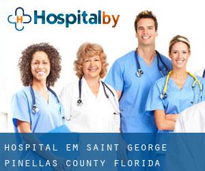 hospital em Saint George (Pinellas County, Florida)