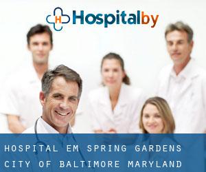 hospital em Spring Gardens (City of Baltimore, Maryland)