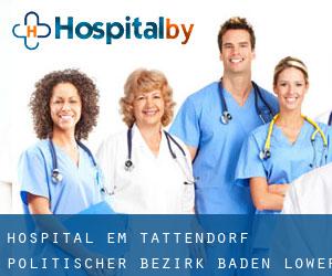 hospital em Tattendorf (Politischer Bezirk Baden, Lower Austria)